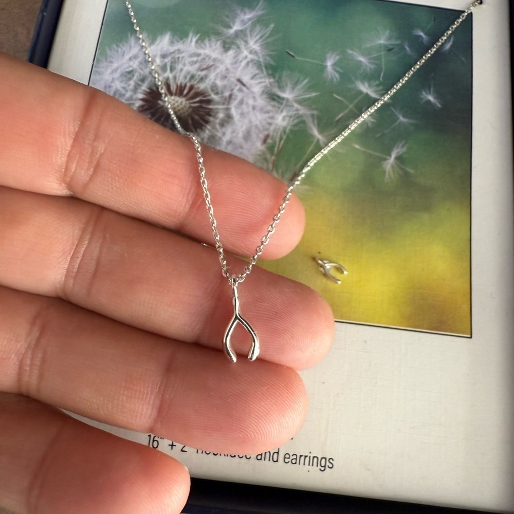 Unwritten Silver Plated Wishbone Necklace Set - Picture 2 of 3
